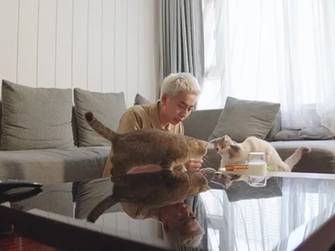 Là Nhà vừa tung trailer tập 2: Osad đưa đề bài khó nhằn, sửa nhà thế nào để sống hoà thuận cùng 3 chú mèo cưng?