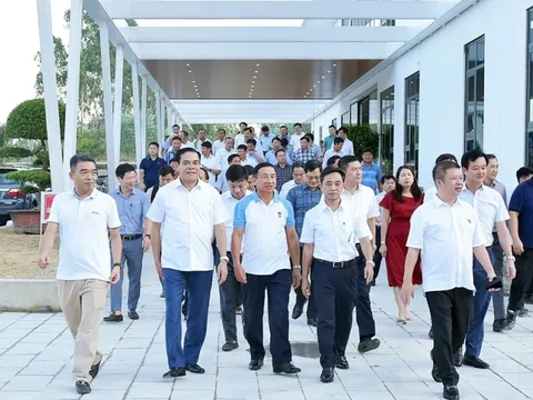 Tập đoàn Hoành Sơn phủ nhận nợ thuế quá hạn 100 tỷ