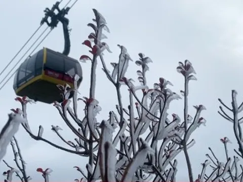 Băng giá phủ trắng trên cung đường lên đỉnh Fansipan