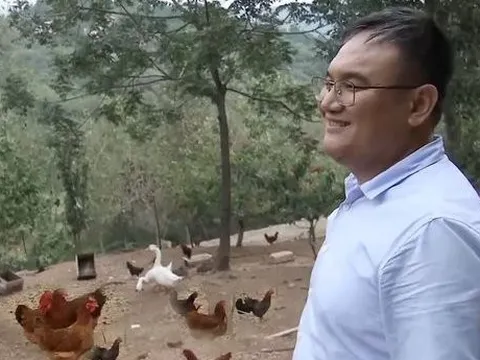 Giám đốc từ chức về quê nuôi giống gà không ai mua nhưng lại kiếm hàng trăm tỷ đồng mỗi năm theo cách không tưởng