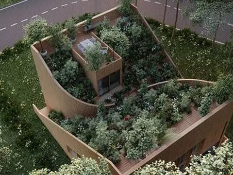 Vườn thảo mộc độc đáo trên mái nhà của đôi vợ chồng cao niên