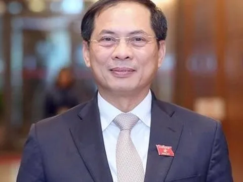 Đề nghị xem xét kỷ luật Bộ trưởng Bộ Ngoại giao Bùi Thanh Sơn