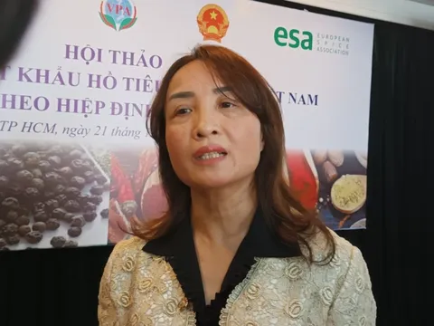 Chặt hồ tiêu trồng sầu riêng: coi chừng mất cả chì lẫn chài