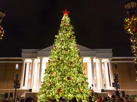 Choáng ngợp với những cây thông Noel tại các trường ĐH hàng đầu thế giới: Có nơi chịu chi trang trí cây cao hàng chục mét như toà tháp