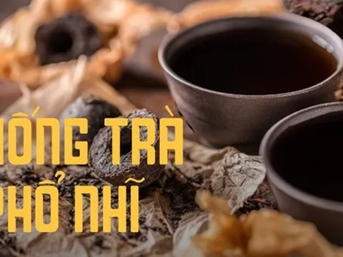 Bí mật trong cách thưởng thức một trong những loại trà đắt nhất thế giới giá gần 13 tỷ đồng/kg
