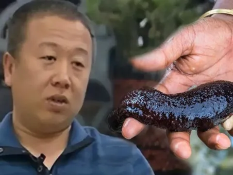 Chàng phú nhị đại bỏ bất động sản đi tìm vàng dưới nước: Dốc tiền mua hàng tấn đá đổ xuống biển, 5 năm sau thu về thứ không ai ngờ tới