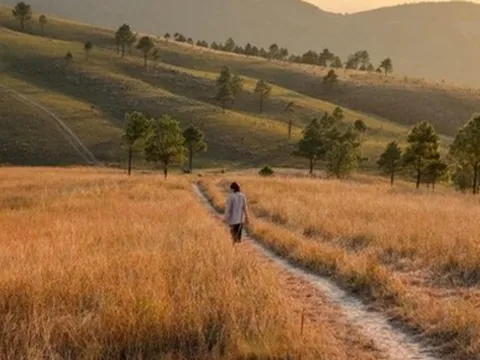 Tìm đến một vùng núi ở Quảng Ninh ngắm mùa cỏ cháy dịp cuối năm