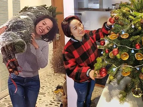 Cô gái Hà Nội 'hô biến' cành thông giá 100 nghìn đồng đẹp 'nức nở' đón Giáng sinh