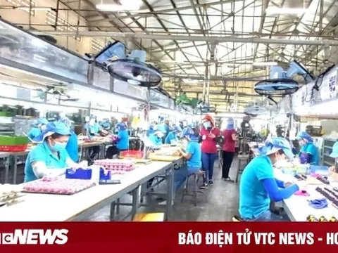 Đà Nẵng thưởng Tết cao nhất hơn 1 tỷ đồng