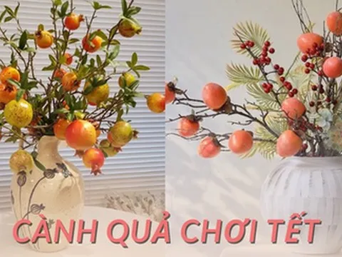 5 loại cành quả chơi Tết giúp gia chủ nghênh đón tài lộc đầu xuân