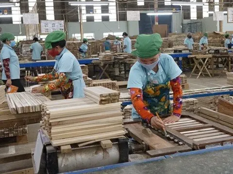 Doanh nghiệp gỗ bị treo cả ngàn tỉ tiền hoàn thuế