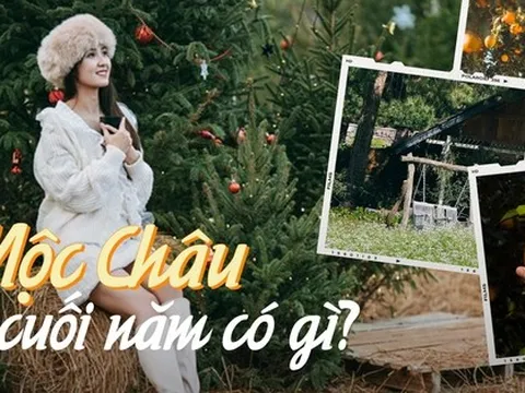 Du lịch Mộc Châu đừng lỡ hẹn với những địa điểm này, toàn tọa độ sống ảo đẹp ngỡ ngàng dịp cuối năm