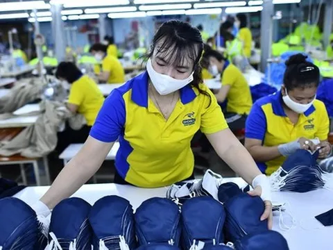 Chỉ 11,67% lao động Việt Nam có trình độ chuyên môn cao