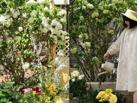 Mãn nhãn trước khu vườn 4 mùa hoa nở, cây cối tươi tốt quanh năm của cô gái 9x