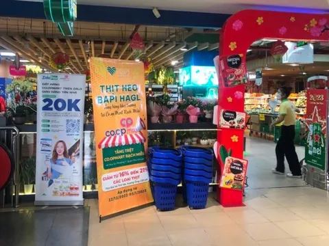 Saigon Co.op tăng gấp đôi hàng tươi sống cho mùa Tết, đưa Heo ăn chuối Bapi HAGL lên kệ