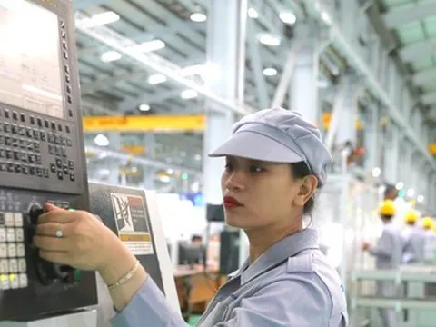 Quảng Nam: Người lao động nhận lương tới 340 triệu đồng/tháng