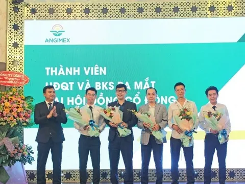 Lý do Tổng Giám đốc Louis Holdings rút đơn xin từ nhiệm tại Angimex