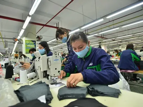 GDP Việt Nam 2022 tăng 8,02%, cao nhất từ năm 2011 đến nay