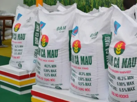 Đạm Cà Mau (DCM) điều chỉnh chỉ tiêu lợi nhuận gấp 7 lần so với kế hoạch cũ vào "phút chót"