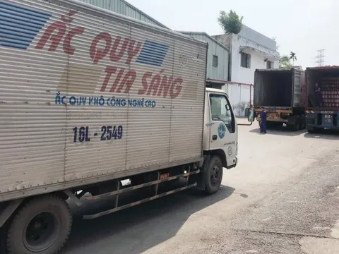 Ắc quy Tia Sáng trước thềm Vinachem thoái vốn: Cổ phiếu kịch trần liên tục, cổ đông nội bộ mua bán lượng lớn và nới “room ngoại” lên 70%