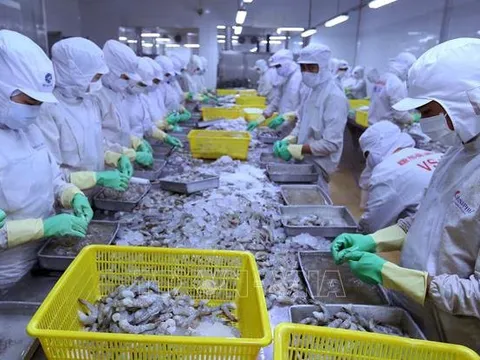 Kinh tế 2022 - 2023: 'Cỗ xe tứ mã' thúc đẩy tăng trưởng kinh tế năm 2023