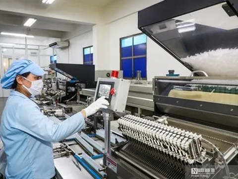 Năm 2022: Doanh nghiệp thành lập mới và quay lại thị trường lập kỷ lục