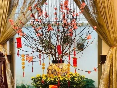 Mua cây chơi Tết Quý Mão nên tránh những loại này kẻo phá tài tán lộc, rước vận xui vào nhà