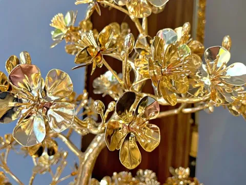 Chủ nhân 2 cây mai mạ vàng trị giá 11 tỷ đồng, vừa xác lập kỷ lục Việt Nam: "Tôi hy vọng sẽ góp phần tôn vinh giá trị truyền thống ngày Tết của người Việt"