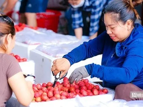 Hỗ trợ thành lập 750 hợp tác xã do phụ nữ tham gia quản lý