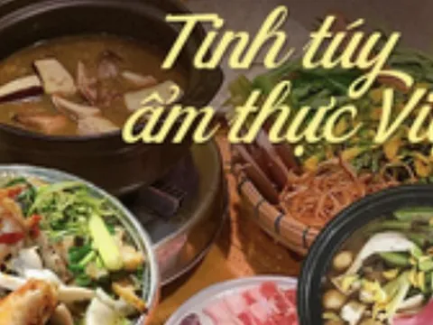 Lẩu mắm Cần Thơ: Dư vị mặn mòi, giản dị không thể nào quên của người miền Tây