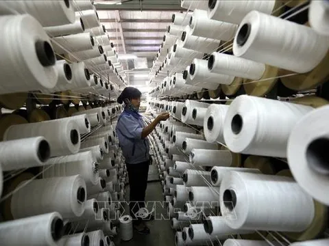 Việt Nam trở thành đối tác thặng dư thương mại lớn nhất của Hàn Quốc
