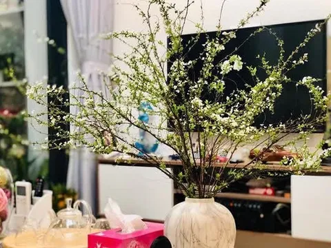 Loài hoa 'ngủ đông' cứ đến Tết là 'cháy hàng', giá bao nhiêu cũng được chị em lùng mua