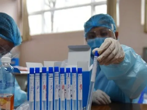 Hé mở về Mediconsult Việt Nam – đơn vị ‘tiếp tay’ cho AIC gây thiệt hại 152 tỷ đồng