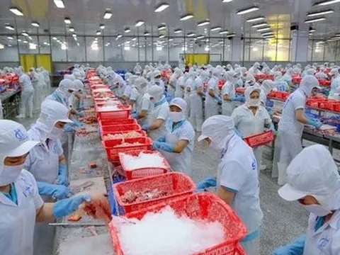 Việc Trung Quốc mở cửa trở lại sẽ là cú hích cho Việt Nam