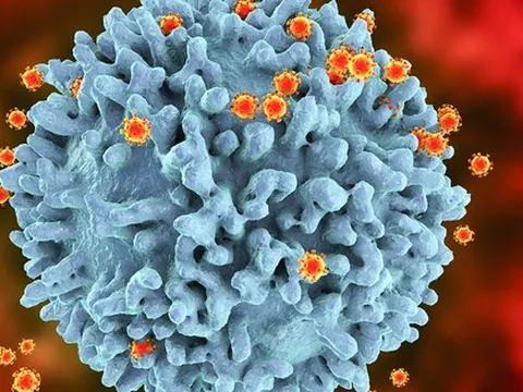 Ghi nhận hơn 500 biến thể SARS-CoV-2, Bộ Y tế khuyến cáo phòng COVID-19