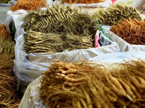 Mẹ Việt ở Hàn Quốc kể chuyện đi chợ nhân sâm lớn nhất xứ sở kim chi, hàng bày la liệt như khoai lang nhiều đến choáng ngợp