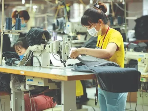 Thị trường lao động 2023: Linh hoạt thích ứng