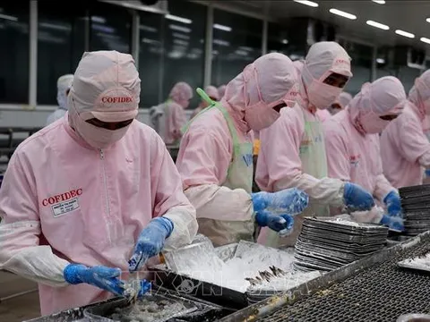 Truyền thông Lào đánh giá cao kinh nghiệm của Việt Nam trong phát triển kinh tế