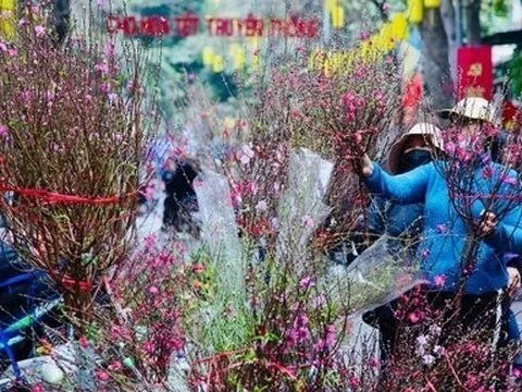 Tăng cường công tác phòng, chống dịch dịp Tết Nguyên đán và mùa lễ hội năm 2023