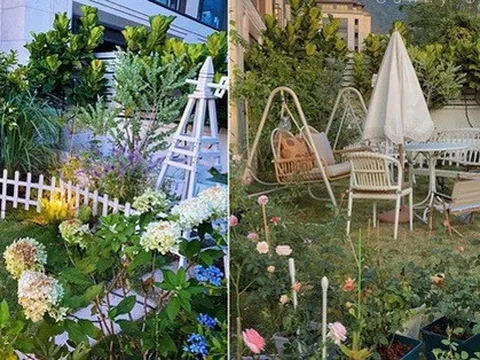 Khu vườn rực rỡ với hơn trăm chậu hoa