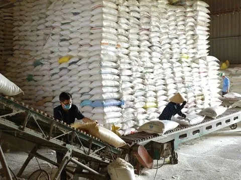Linh hoạt các giải pháp, dựa vào nội lực để GDP năm 2023 tăng tốt
