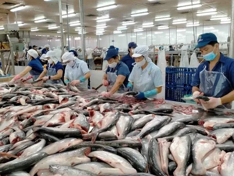 Nhìn lại bức tranh xuất khẩu cá tra và dự báo năm 2023