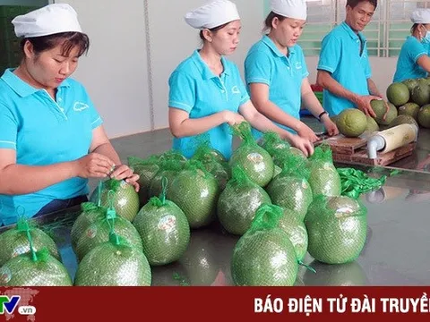 GDP ngành nông nghiệp tăng cao nhất 3 năm