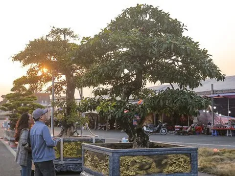 Miền Bắc sắp tăng nhiệt mạnh