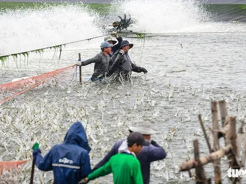 Ngành nông nghiệp hướng tới xuất khẩu 54 tỉ USD