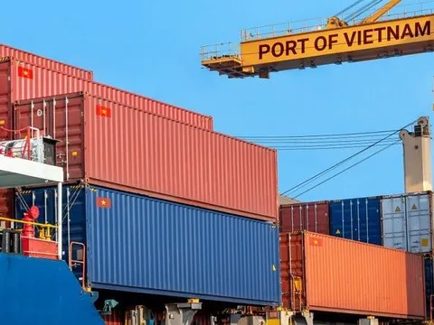 Chuyên gia quốc tế nói gì về những lĩnh vực hưởng lợi của Việt Nam khi Trung Quốc mở cửa?