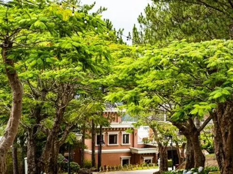 5 điểm đến cho chuyến du lịch Tết Quý Mão 2023