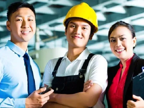 Robert Walters: 88% công ty Việt Nam sẵn sàng tăng lương cho nhân viên