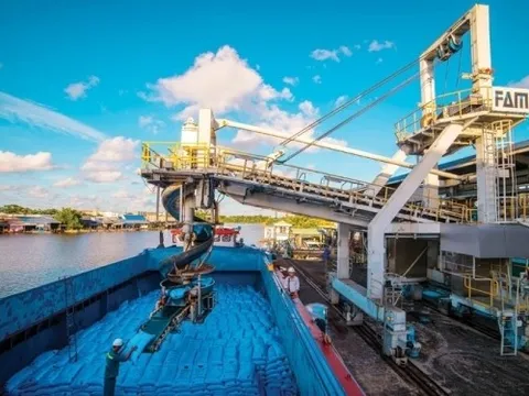 Tiến sĩ Võ Trí Thành: Năm 2022, ngành Công Thương đã vững tay chèo, vượt qua “sóng cả”