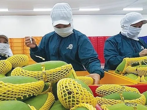 Trung Quốc mở cửa, doanh nghiệp Việt cần lưu ý gì?